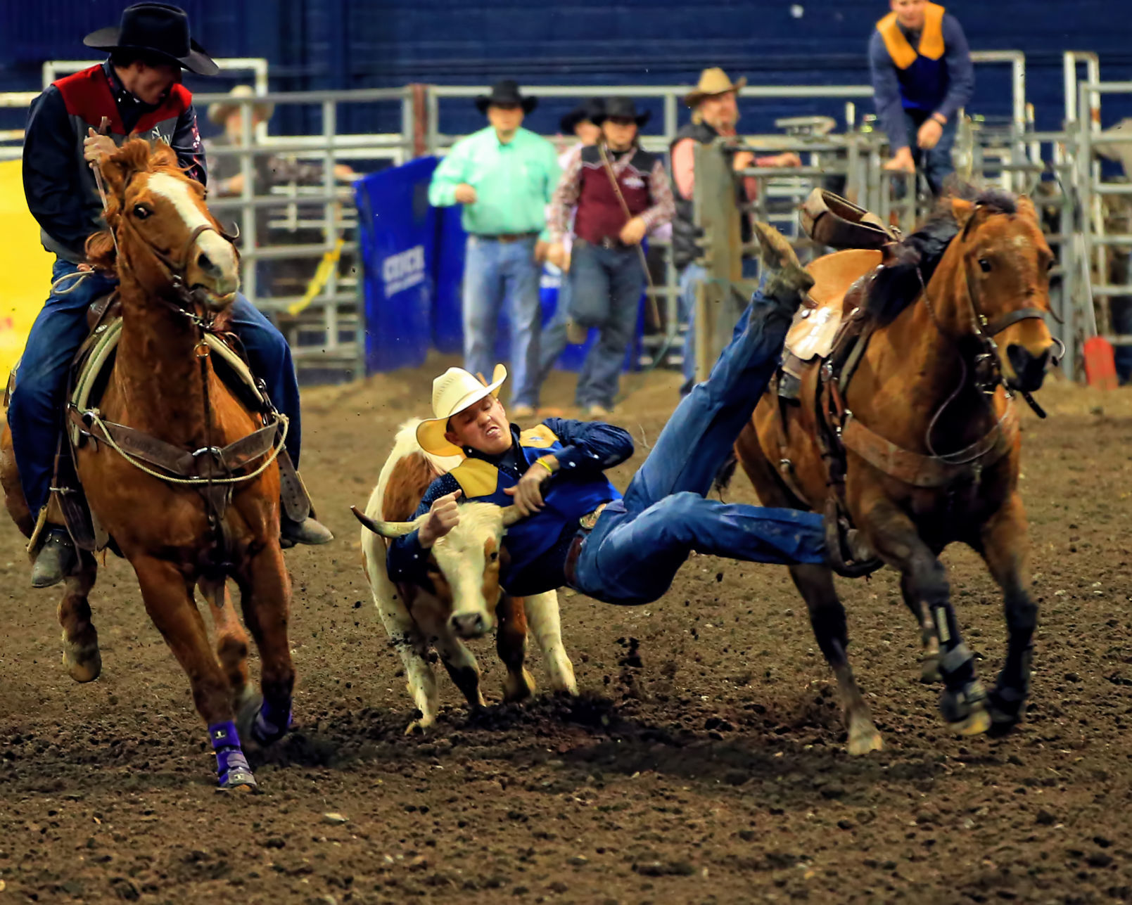 MSU Rodeo - Montana State's Powell